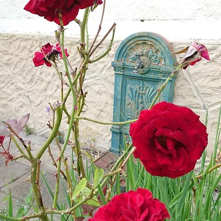 Domaine Casquil Panjas